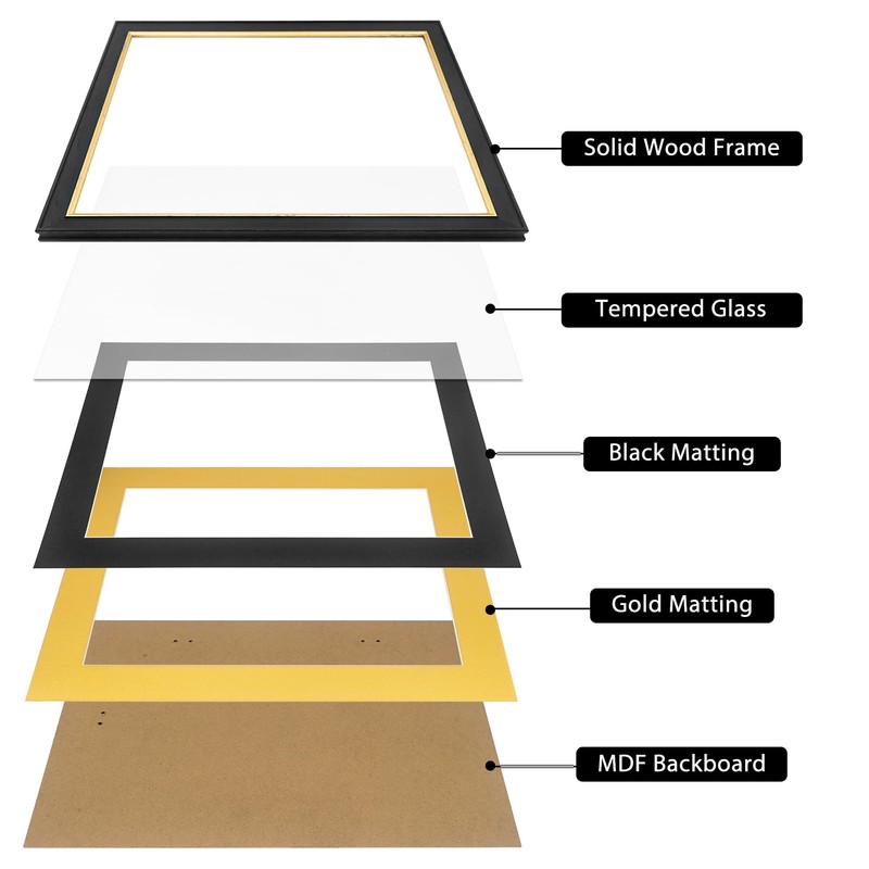 FramePro 14x17 Diploma Frame with Black over Gold Mat, 16x20