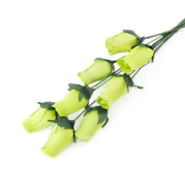 Light Green Closed Bud Roses 8-Pack