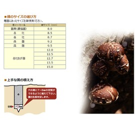 Onishi Industrial Shiitake Cone (High Speed Half Moon Type) (NO.32) 0.5 inches (12.5 mm)