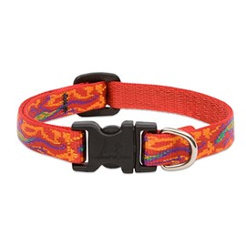 LupinePet Originals 1/2" Go Go Gecko 10-16" Adjustable Collar for Small Dogs