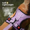 FAYOGOO Dog Harness, No Choke Front Clip Dog Reflective Harness,