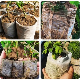 Bolsas de vivero de plantas, 100 piezas de bolsas de cultivo de plantas biodegradables no tejidas, bolsas de maceta de plántulas de tela, bolsas de inicio de plántulas de tela para árboles jóvenes de