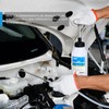 SMOTIVEPRO 1.05 Quart / 1 Liter Multi-Purpose Oil Pump, Hand