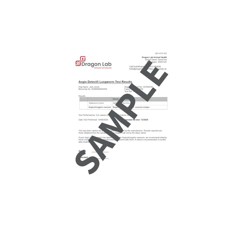 Dragon Lab & Canine Lungworm Test Kit Blood Screening for