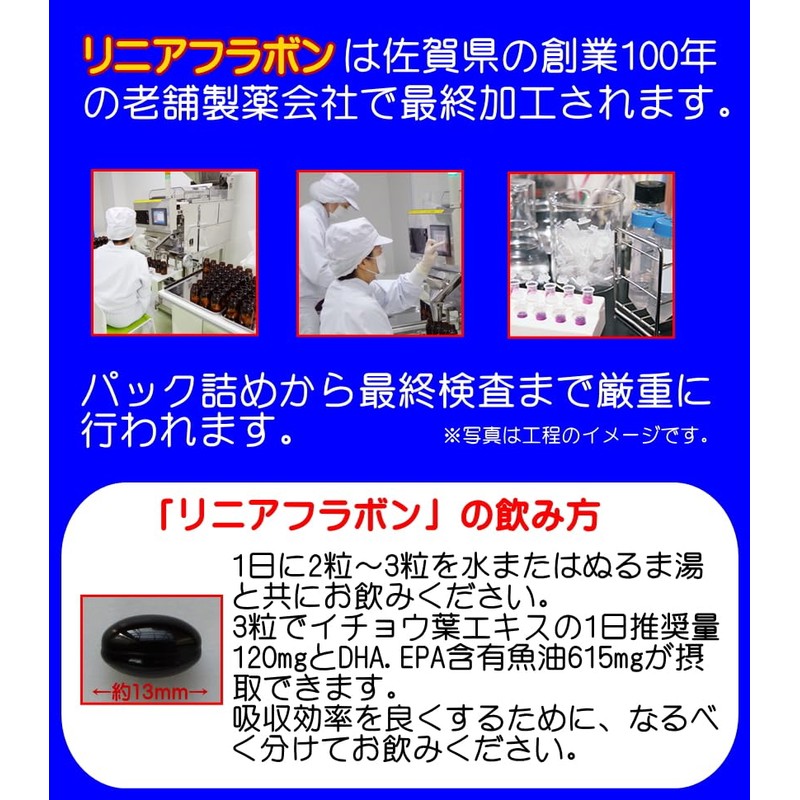 イチョウ葉 エキス +DHA 【リニューアル】 リニアフラボン 90粒 ×6個セット イタリア インディナ社 フラボノイド