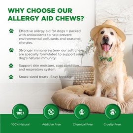 The Dog Doctors Allergy Aid Bitesized Soft Chews - Helps Relieve Itchy Irritated Skin & Seasonal Allergies - Specially Designed With Powerful Antioxidants To Support A Healthy Immune System.