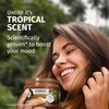 Herbal Essences Herbal Essences coconut scent hydrate Hair Mask 500ml