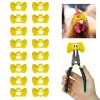 Weilan 20 Pieces Pinless Peepers with Pliers Chicken Peepers Eye