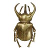 Ebros Gift Medium Gold Resin 3 Horned Rhinoceros Beetle Wall