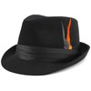 Classic Unisex Trilby Fedora Hat (US, Alpha, One Size, Black)