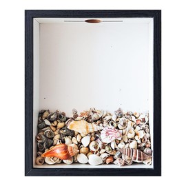 Shadow Box with Slot On Top，8.5"x10.5"Seashell Display Box, Seashell Holder Display Box，, Shell Display Box, Shell Storage Box Display Cabinet Decorated with Shells and Starfish Ornaments, Black.