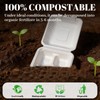 100 Pack 8×9 Inch 3-Compartment Compostable Bagasse Food Containers
