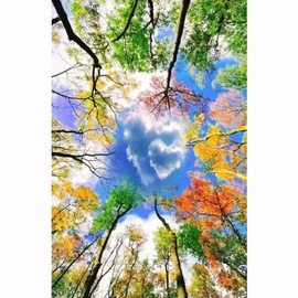 Cukol Colorful Trees Cross Stitch Kits for Adults, 11ct Pre Printed Stamped Counted Cross Stitch Kits for Adults Beginners UK, Advanced 11 Count Embroidery Cross Stiching Kit Adults Beginners