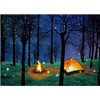 CHAIYA Enchanted Forest Camping Backdrop Forest Night Scene Photography Background