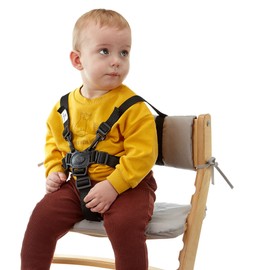 Fornel Safety 5-Point Harness