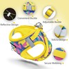 Jolifield Step in Dog Harness with Leash Set, Adjustable Soft