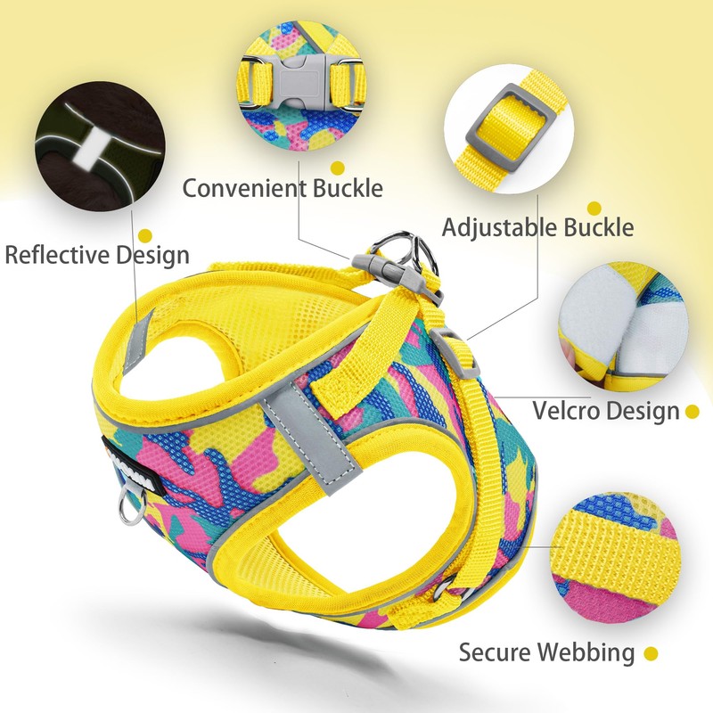 Jolifield Step in Dog Harness with Leash Set, Adjustable Soft