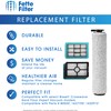 3831 Replacement Brush and Filter Set for Bissell Crosswave Hard