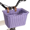 GRANNY SAYS Small Bike Baskets for Kids, Bicycle Bike Baskets,