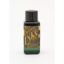 Diamine November Rain Ink 30ml