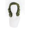 PORSMEER Men's Clown Joker Wig Curly Short Green Cosplay Wig