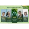 2 PACK Mullein Drops for Lungs, Detox and Cleanse Mullein