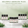 Fragrance Oil Set, 20pcs/box Natural Fragrance for Bedroom Living Room