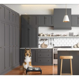 Research Labs Modern & Elegant Bamboo Elevated Small Dog Bowls / Cat Bowls. Durable & Beautiful Raised Pet Feeder Bowl Stand w/ 2 Stainless Steel Food & Water Bowls. Perfect for Smaller Pets, Black