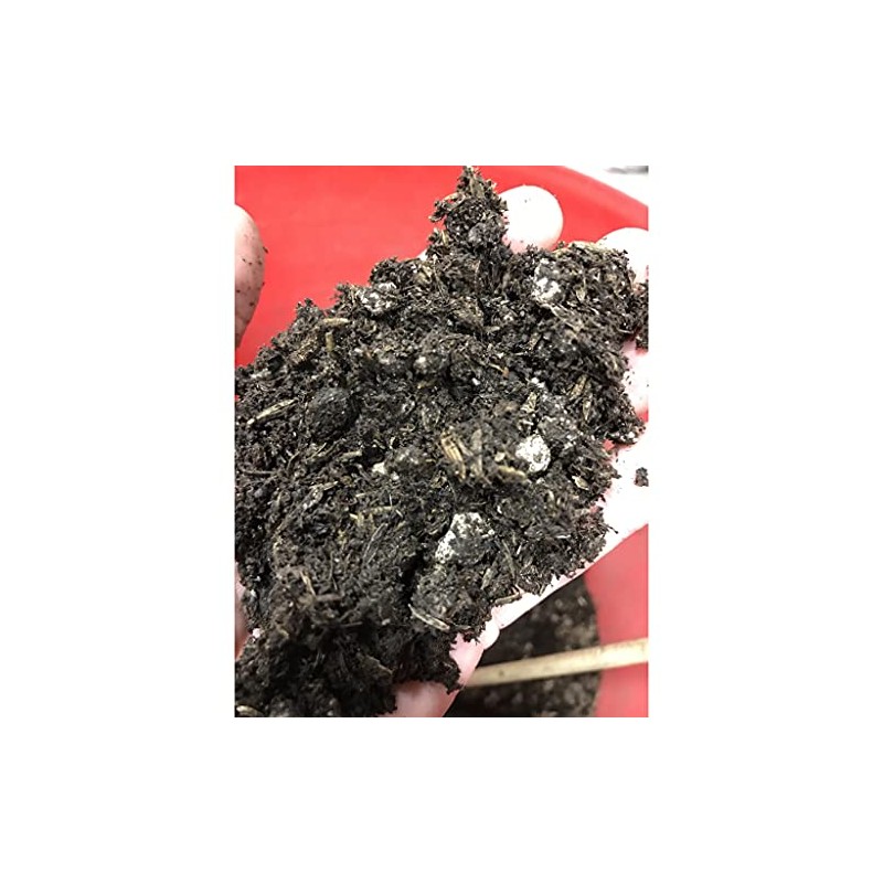 BuildASoil Light Garden Soil for Indoor & Outdoor Plants (1