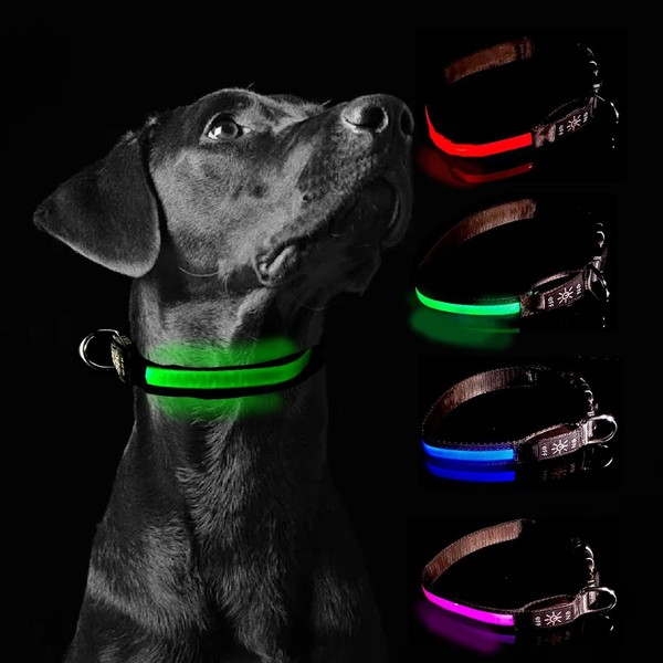 Glow Fetch It! HD Ultra Bright LED Safety Dog Collar,
