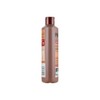 Franck Provost Reparation Shampoo