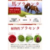 Tsumugi Placenta Serum (Made in Japan Horse Placenta)