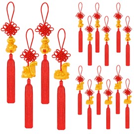 JUNEBRUSHS 16Pcs Chinese New Year Decorations 2025 Year of Snake Lucky Charm Feng Shui Chinese Knot Tassel Hanging Pendants Ornaments for New Year Home Health Wealth Success Lucky Decor