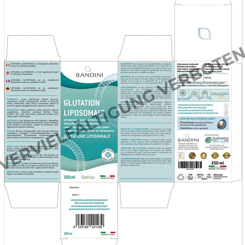 Bandini® Liposomal Glutathione 250 ml L-Glutathione Setria® Liposomal Tripeptide Glutamic