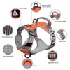 Adjustable Pet Orange Blue Chest Strap Outdoor Activities High Visibility