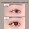 heimish [heimish]Dailism Smudge Stop Mascara (2 types)