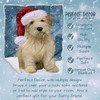 Wheaten Terrier Dog Blanket - Let it Snow - Super