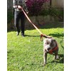 Dog Leash Long - Traffic Padded Two Handle - Heavy