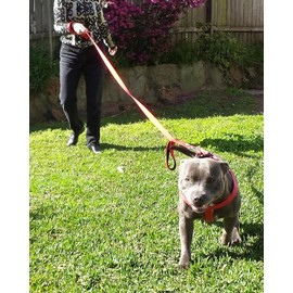 Dog Leash Long - Traffic Padded Two Handle - Heavy Duty - Double Handles Lead for Control Safety Training - Leads for Large Dogs or Medium Dogs - Dual Handles Leashes (Red, 1.5 Meters)