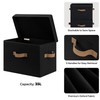 StorageWorks Fabric Storage Bins with Lid, Decorative Storage Boxes for