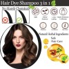 Champú Para Teñir El Cabello 3 En 1, Ingredientes Herbales,