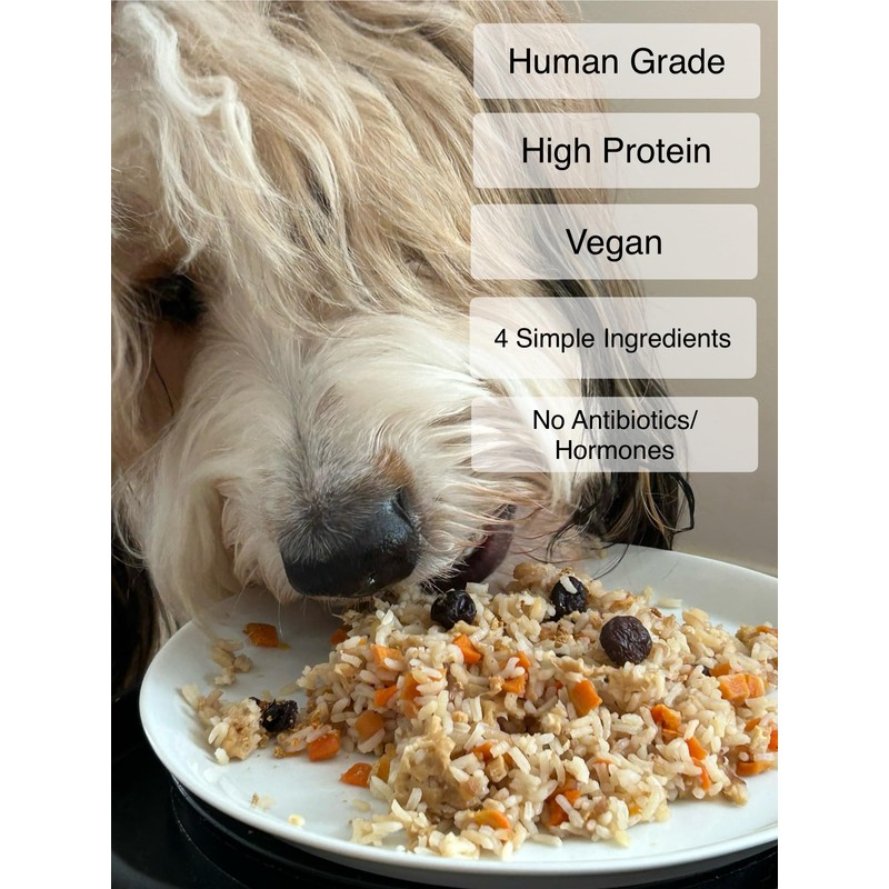 Summer's Healthy Dog Food