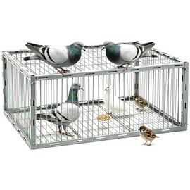 Bird Trap Upgraded Sparrow Trap, One-Way Entrance Escape-Proof Pigeon Trap, Easy to Install and Harmless Pigeon Cage, 27.55/15.74/10.23 inch