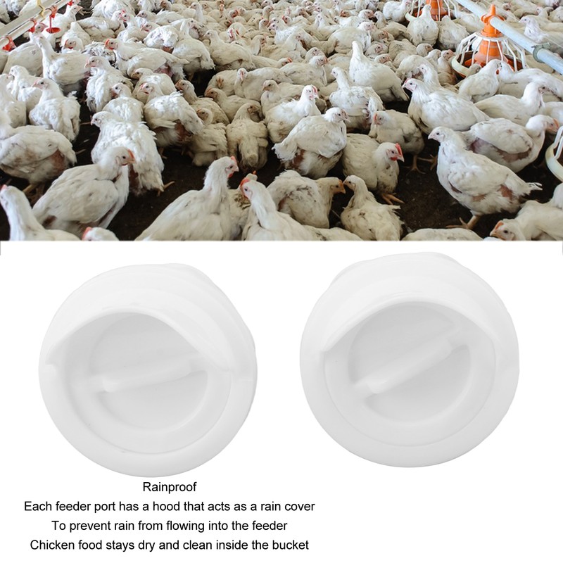 Poultry Feeders Rainproof Reduce Waste Chicken Duck DIY Gravity Feeder