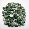 Tree Agate Natural Healing Crystal Gemstone tumbled & hand polished