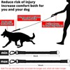 Rope Dog Leash 3 FT: Heavy Duty Leashes with Swivel