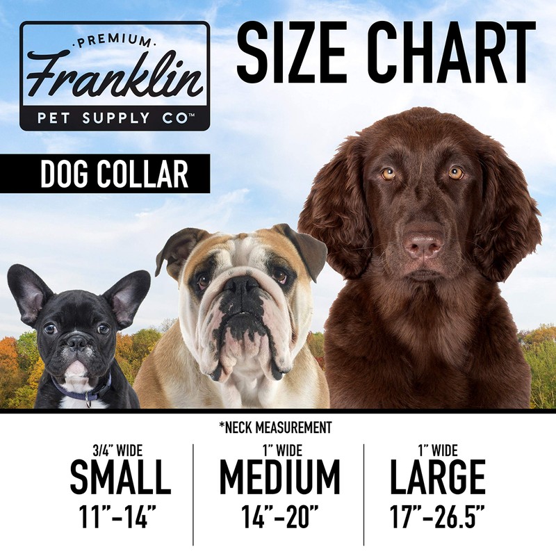 Franklin Sports Nylon Dog Collar – Reflective – Franklin Pet