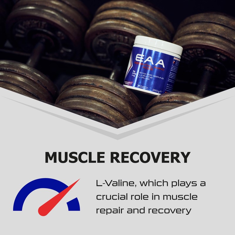 SCI-MX - Essential Amino Acids Blackcurrant Flavour - 250g (17