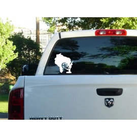 Gametrax Outdoors Wisconsin state Buck deer decal sticker - vinyl bow hunting archery 4x4 rifle  - Orange