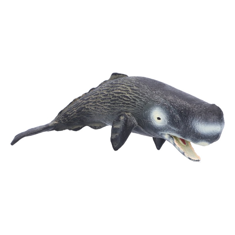 Realistic Sperm Whale Replica Simulated Marine Animal Model Educational Collector